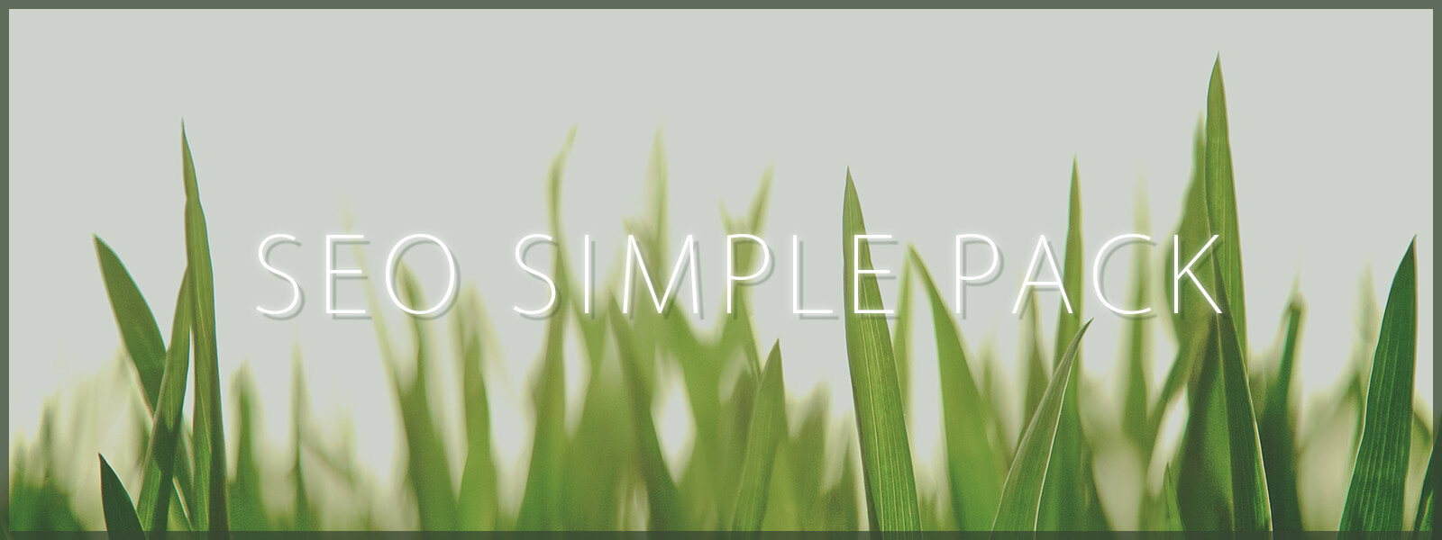 SEO SIMPLE PACK